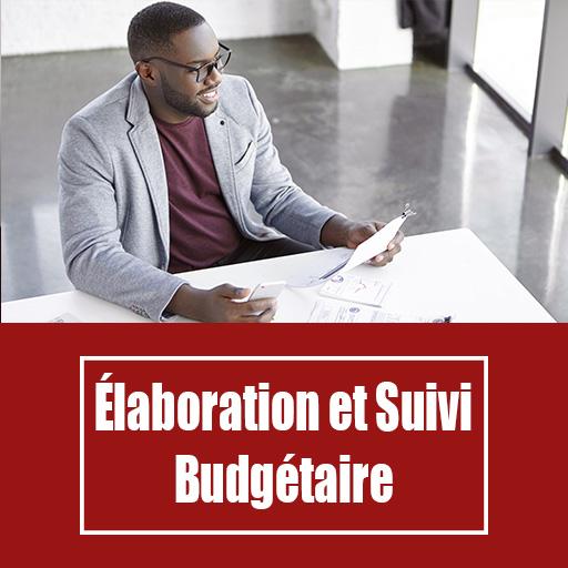 Elaboration et suivi budgétaire