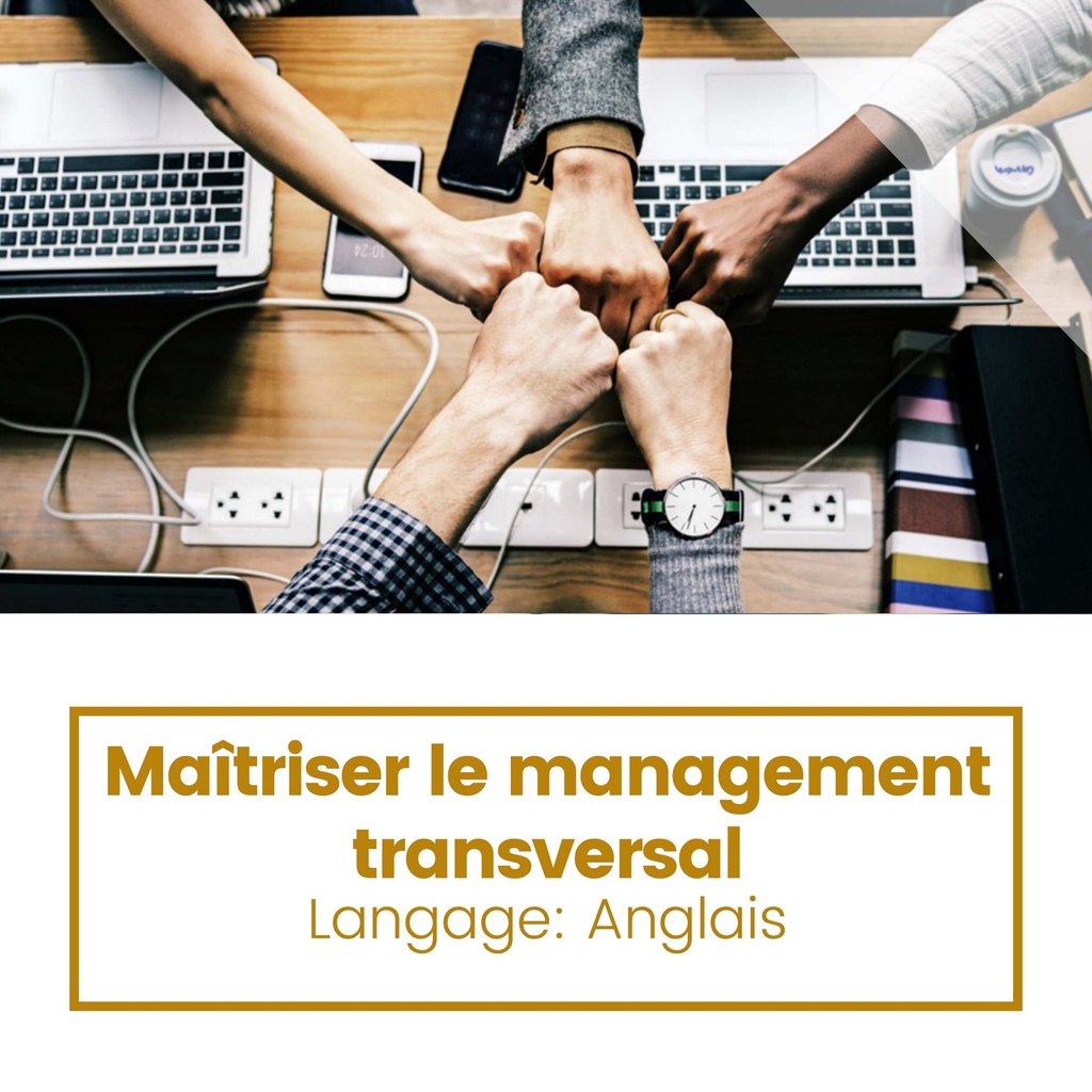 Maîtriser le management transversal