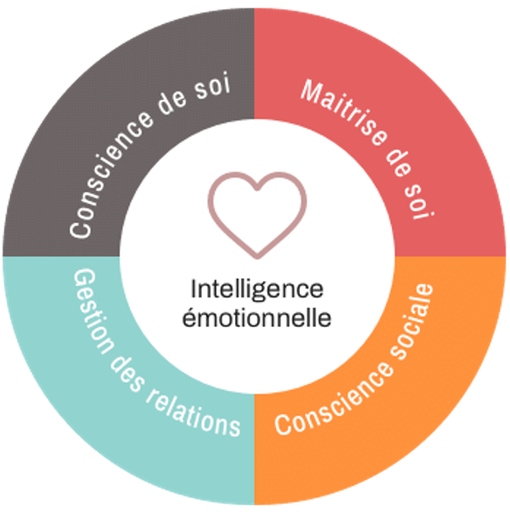 Formation Intelligence Emotionnelle